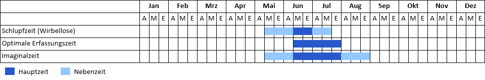 Phänogramm Phänogramm