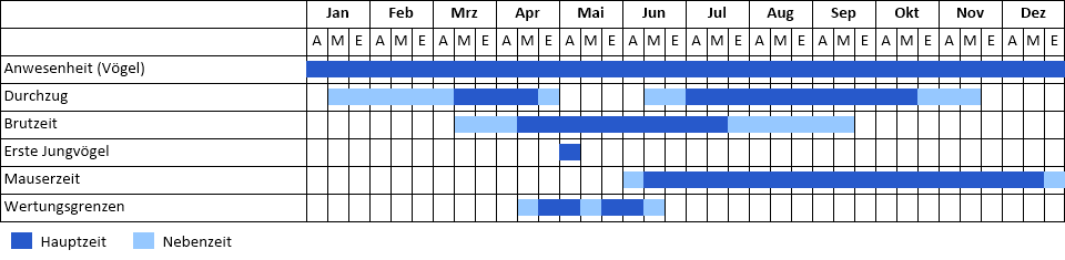 Phänogramm Phänogramm