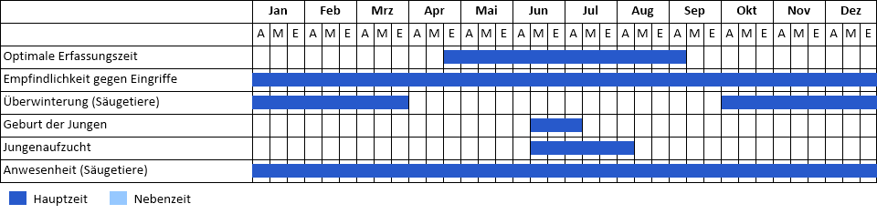 Phänogramm Phänogramm