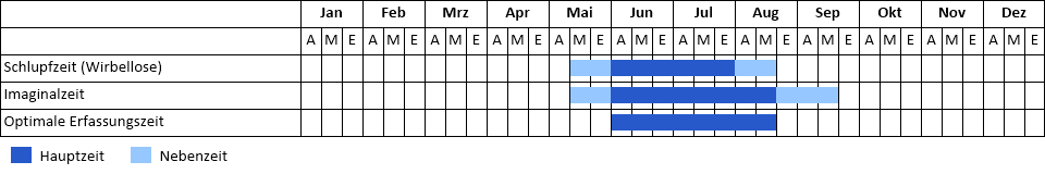 Phänogramm Phänogramm