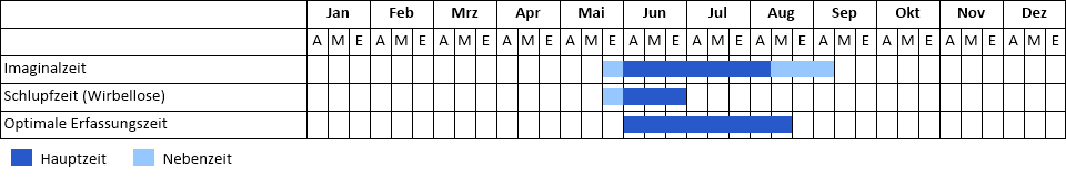 Phänogramm Phänogramm