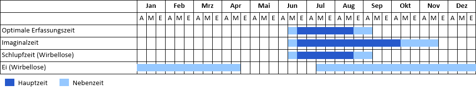 Phänogramm Phänogramm