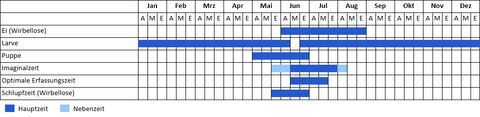 Phänogramm Phänogramm