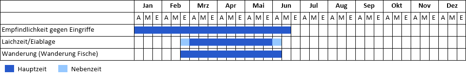 Phänogramm Phänogramm