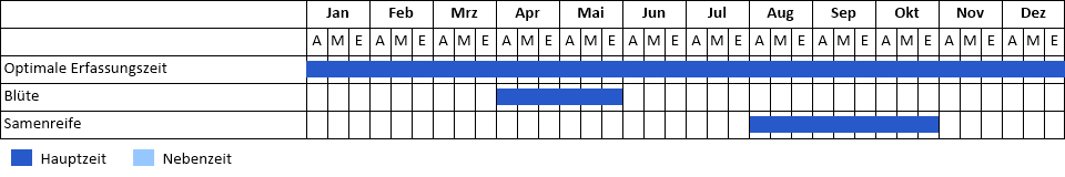 Phänogramm Phänogramm