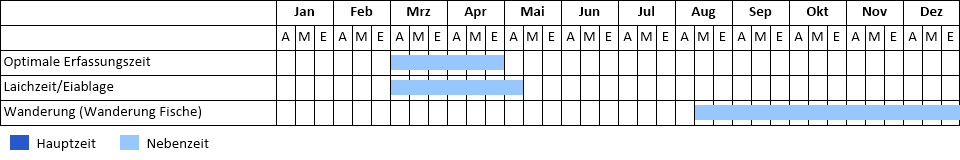 Phänogramm Phänogramm