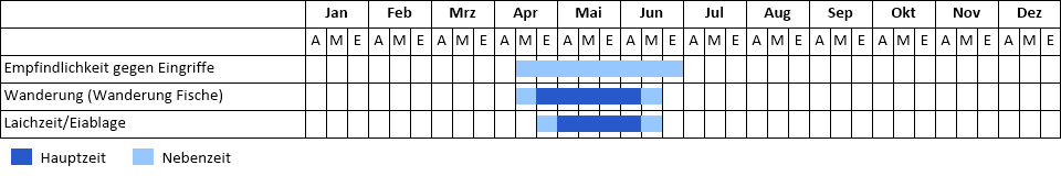 Phänogramm Phänogramm