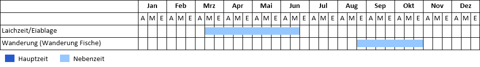 Phänogramm Phänogramm