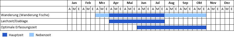 Phänogramm Phänogramm