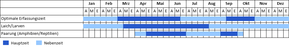 Phänogramm Phänogramm