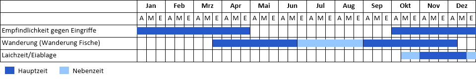 Phänogramm Phänogramm