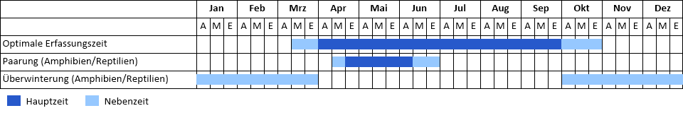 Phänogramm Phänogramm