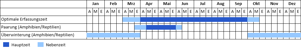 Phänogramm Phänogramm