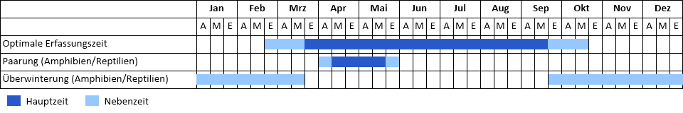 Phänogramm Phänogramm
